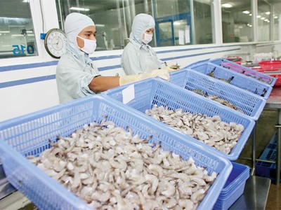 Cổ phiếu thủy sản chỉ chờ có “sóng”